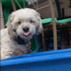 Meet your Posher, Tina